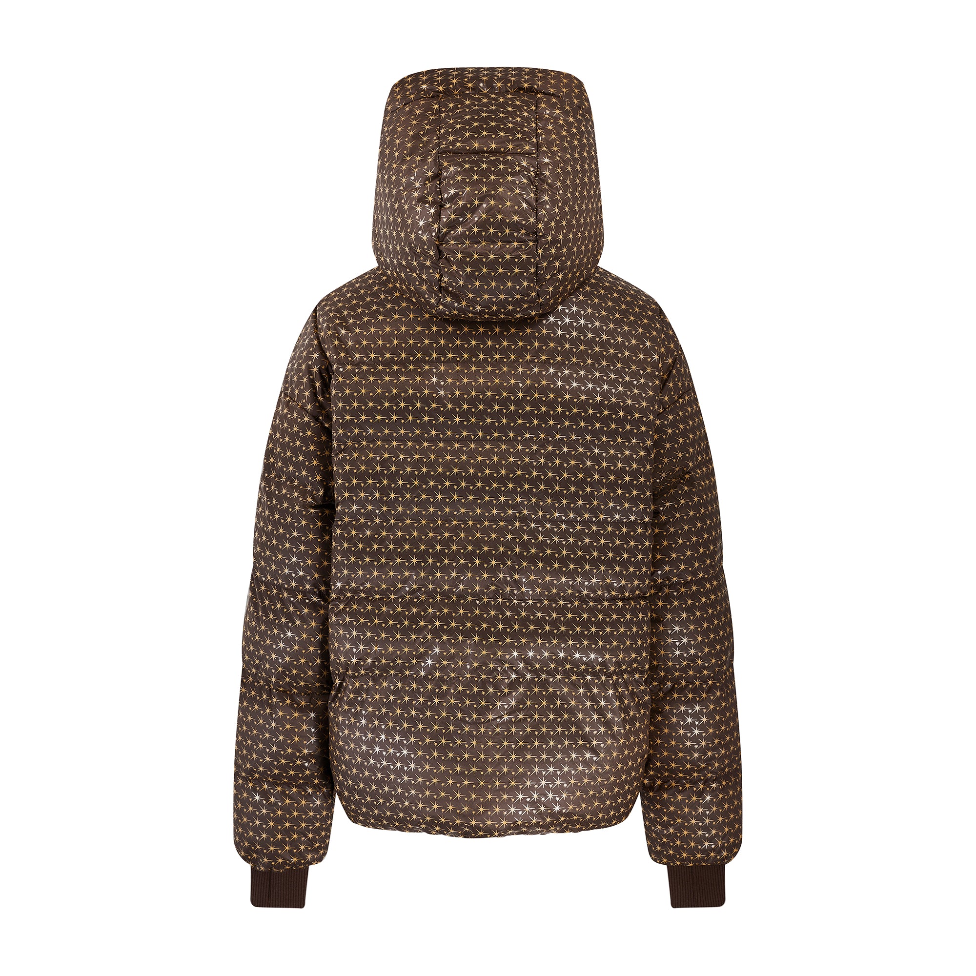 Apricity Oversized Ski Jacket - Chocolate / Gold